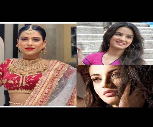 Bigg Boss Season 14: From Nia Sharma to Sneha Ullal, here is the tentative list of contestants this year